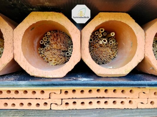 Wildbienen Hotel mit Strangfalzziegel (Bienenziegel) ausserdem Bambus Bruhtgänge in ein Tonrohr das vor Regen und Feuchtigkeit Schützt.