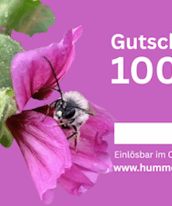 Gutschein 100 Euro, hummelwolle.de