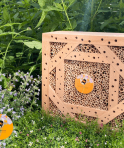 Wildbienen Nisthilfe Blütentanz