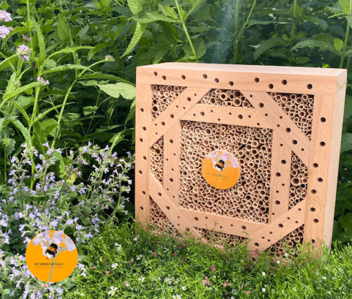 Wildbienen Nisthilfe Blütentanz