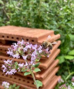 3 Strangfalzziegel mit 12 cm Länge, Bienenziegel,  Niströhren, Wildbienen