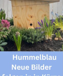 Hummelkasten Hummelblau