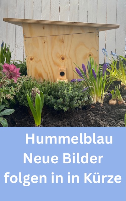 Hummelkasten Hummelblau
